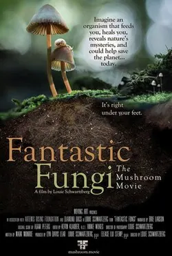 Fantastic Fungi poster