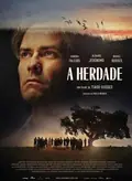 The Domain poster