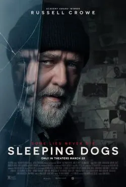 Sleeping Dogs poster