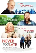 Never Too Late poster
