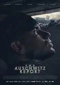 The Auschwitz Report poster