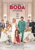 The Wedding Unplanner poster