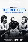 The Bee Gees: How Can You Mend a Broken Heart poster