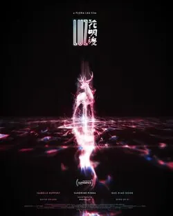 Luz poster